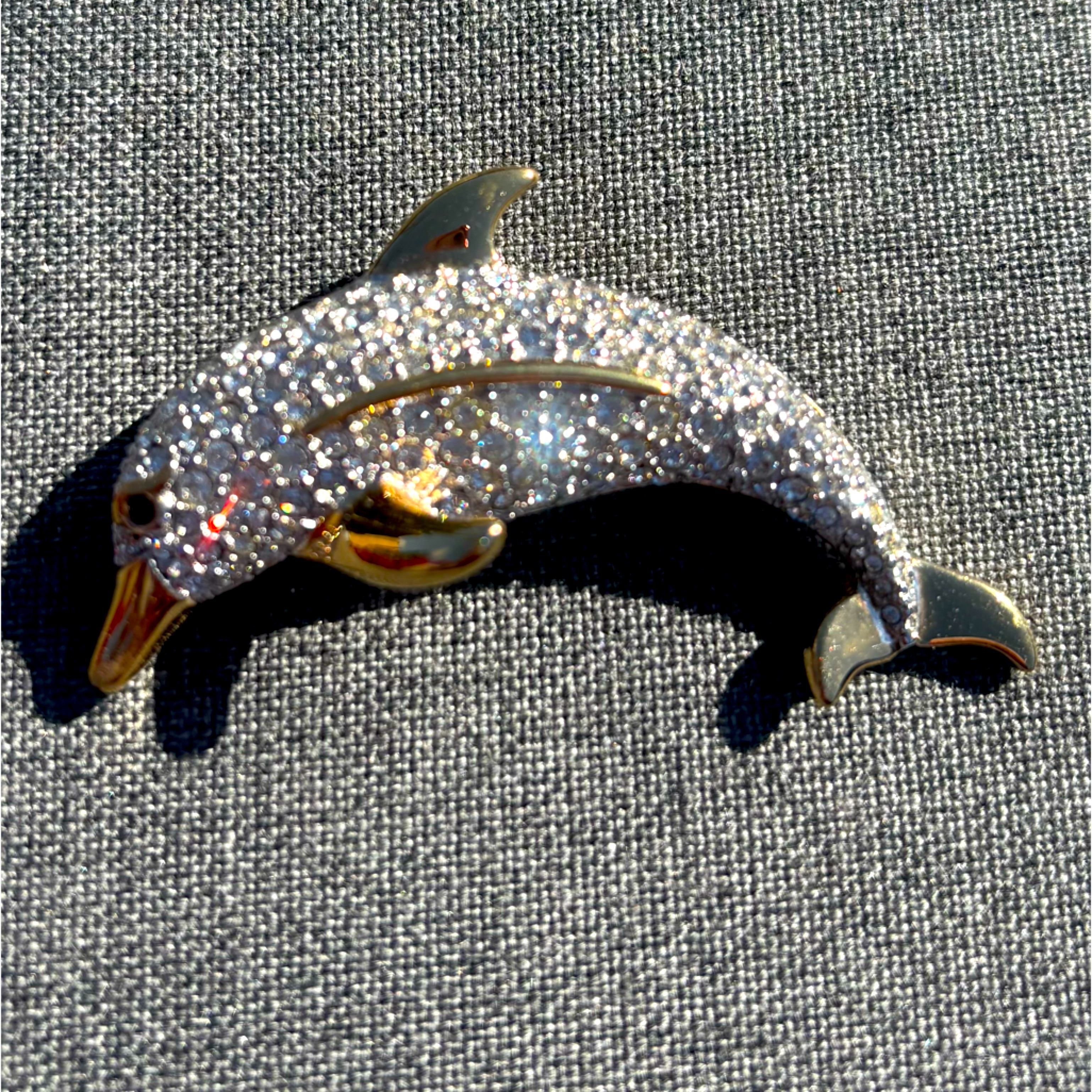 Dolphin Pin